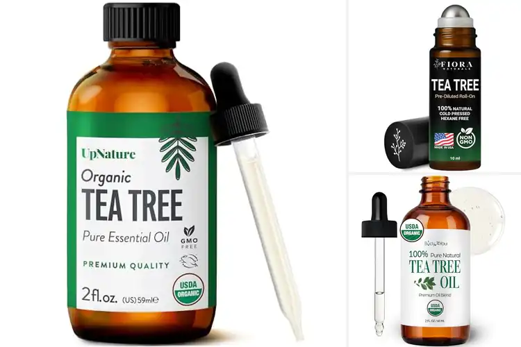 Detailed view of Best Dilute Tea Tree Oil With Carrier Oil