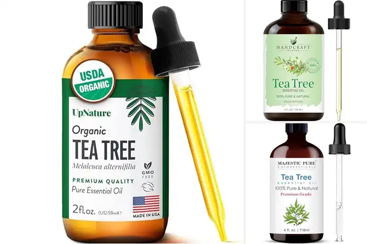 Detailed view of Best Pure Tea Tree Oil Top Picks for Natural Wellness