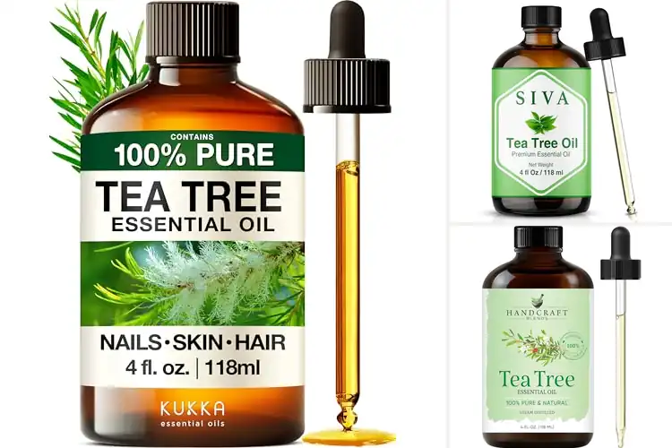 Detailed view of Best Tea Tree Oil 4 Oz