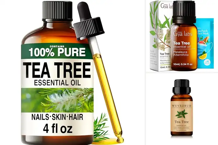 Detailed view of Best Tea Tree Oil For Aromatherapy Scents
