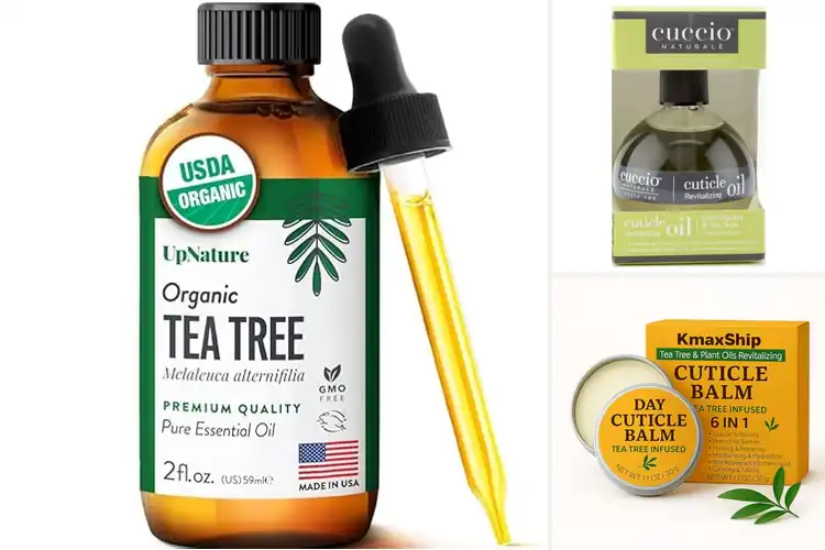 Detailed view of Best Tea Tree Oil For Cuticle Hydration