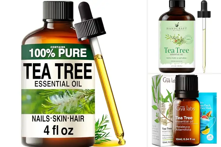 Detailed view of Best Tea Tree Oil For Diffuser And Aromatherapy