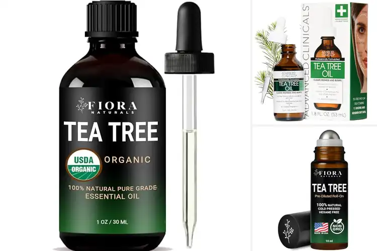 Detailed view of Best Tea Tree Oil For Face