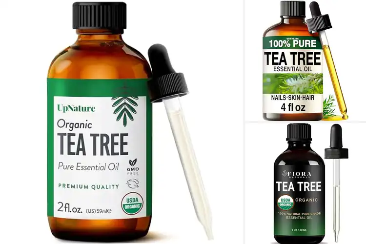 Detailed view of Best Tea Tree Oil For Hair Care