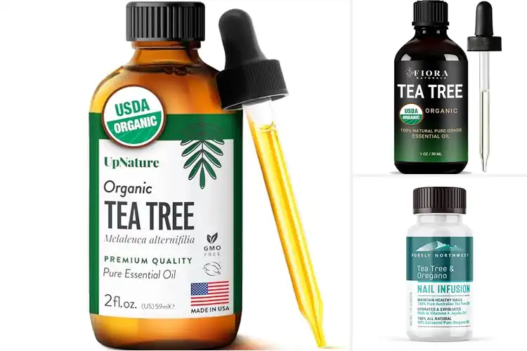 Detailed view of Best Tea Tree Oil For Nail Strength
