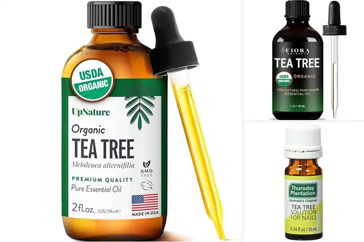 Detailed view of Best Tea Tree Oil for Nails: Strengthen & Nourish Naturally