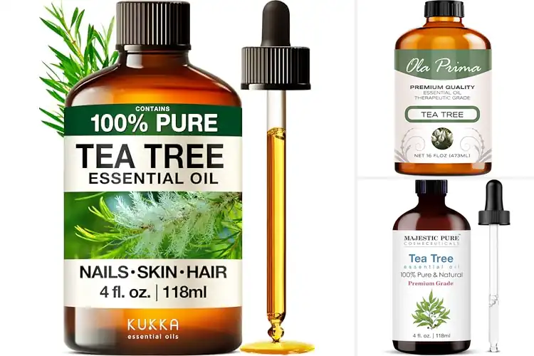 Detailed view of Best Tea Tree Oil For Soap Making Projects