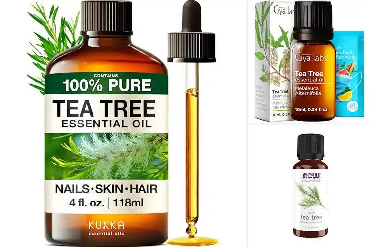Detailed view of Best Tea Tree Oil Scent For Aromatherapy