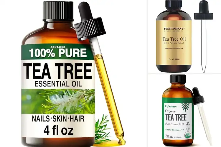 Detailed view of Best Terpinen-4-ol Rich Tea Tree Oil